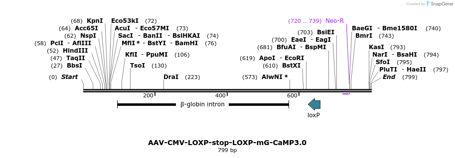 133255_map
