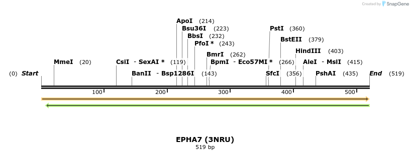 13326_map