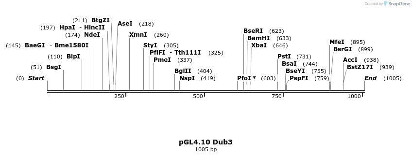 133262_map