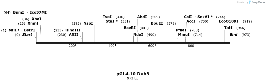 133263_map