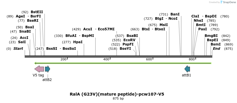 133267_map