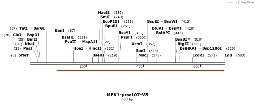 133273_map