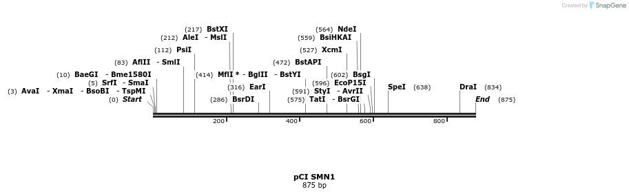 133279_map