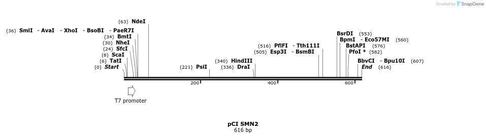 133281_map