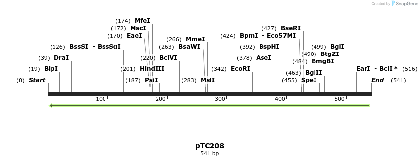 133282_map