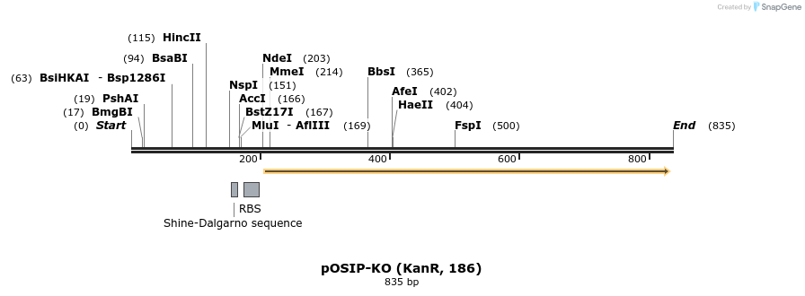 133285_map