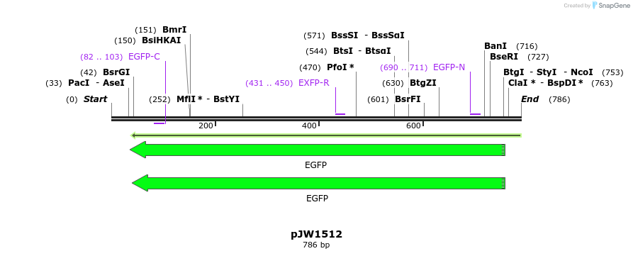 133286_map