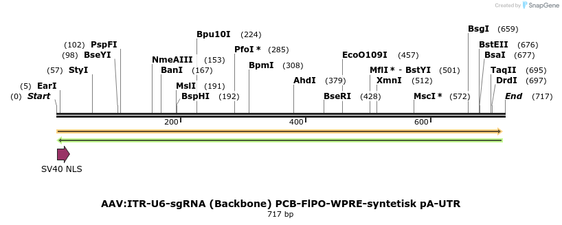 133287_map