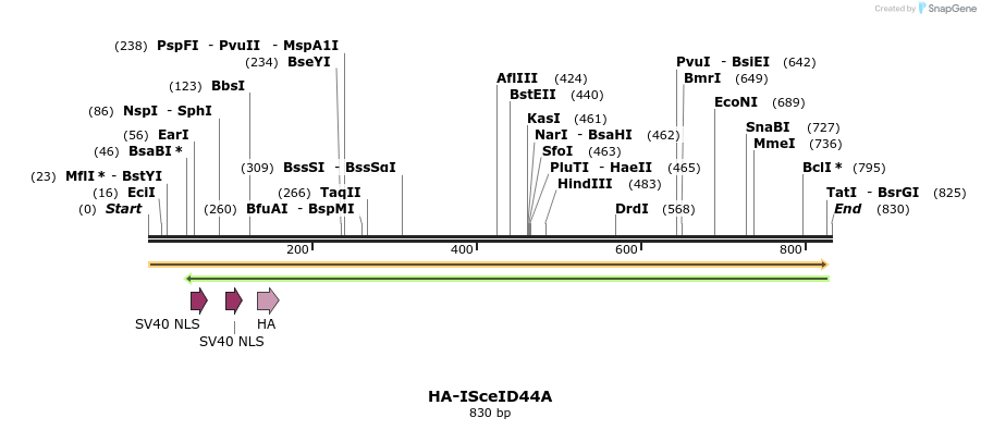 133289_map