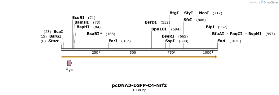 133292_map