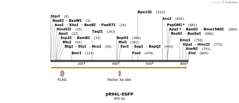 133297_map