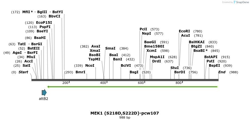 133298_map