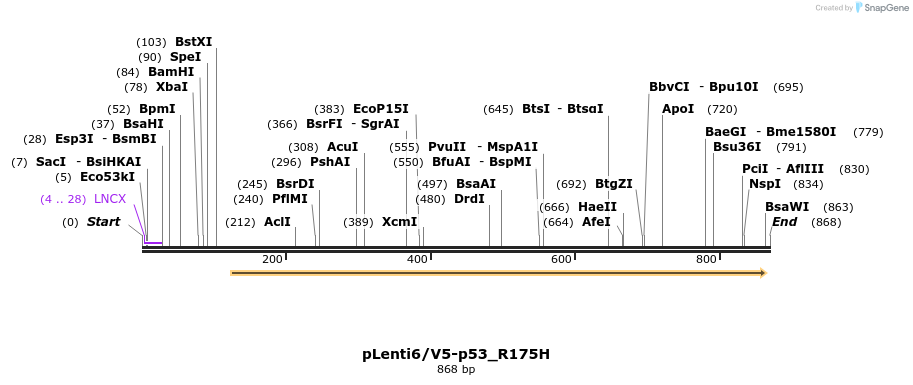 133303_map