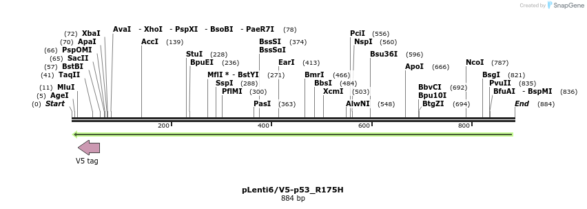 133305_map