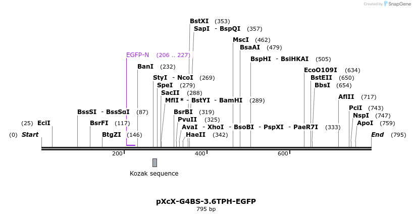 133306_map