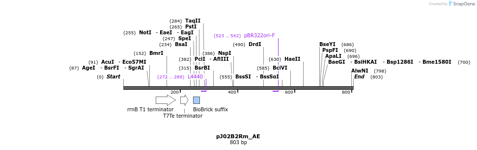 133314_map
