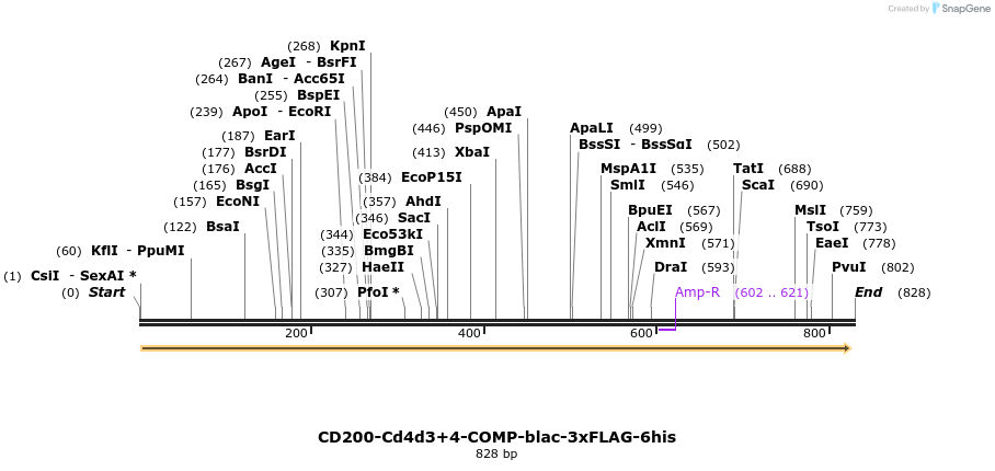 133315_map