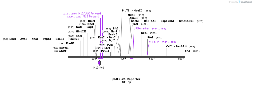 133322_map