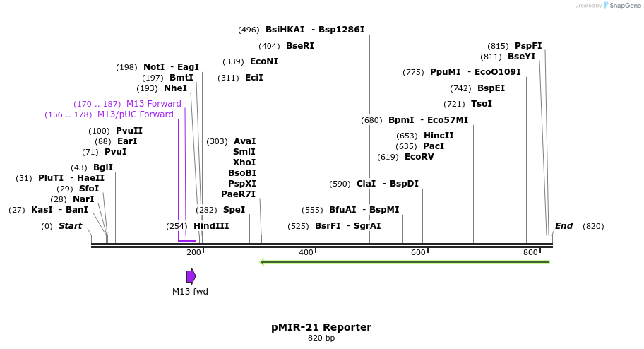 133323_map