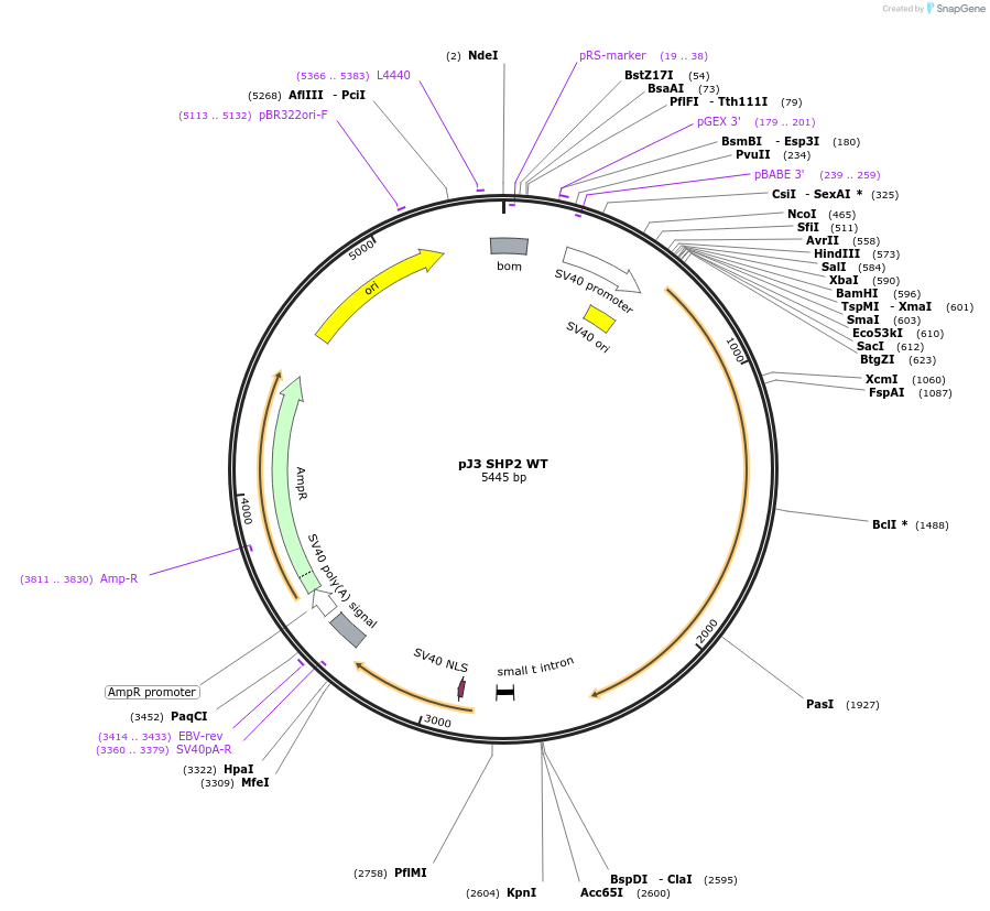 133331_map