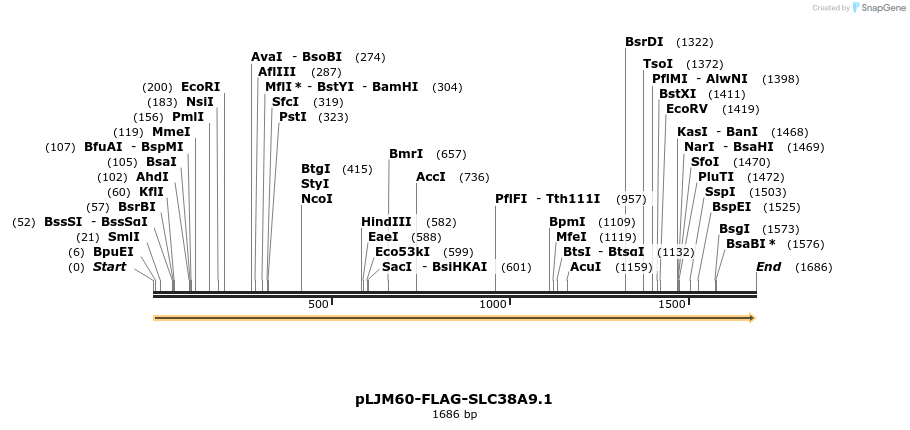 133332_map