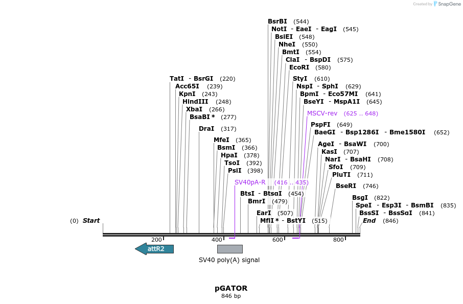 133343_map