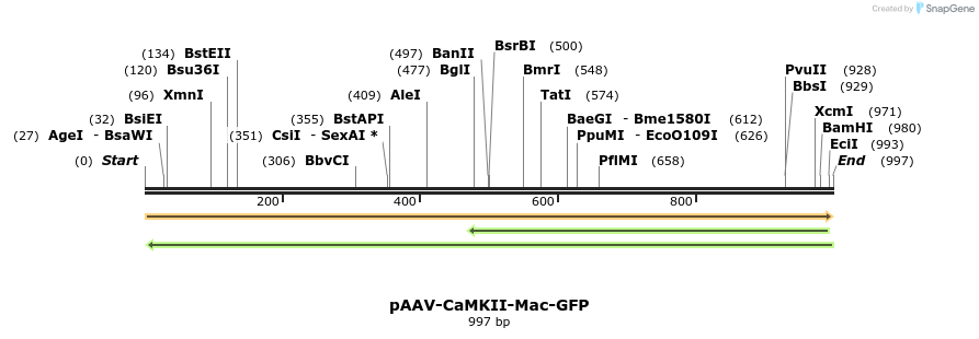 133353_map