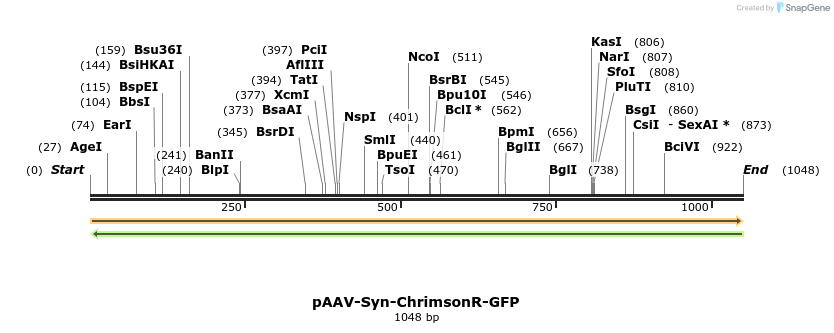 133356_map