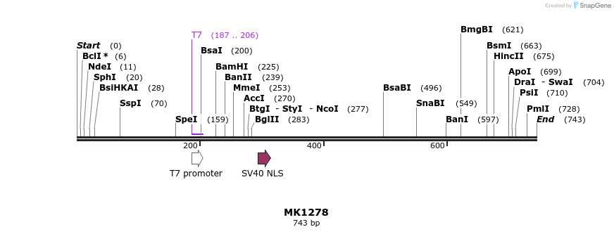 133362_map
