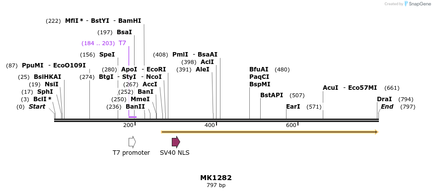 133365_map
