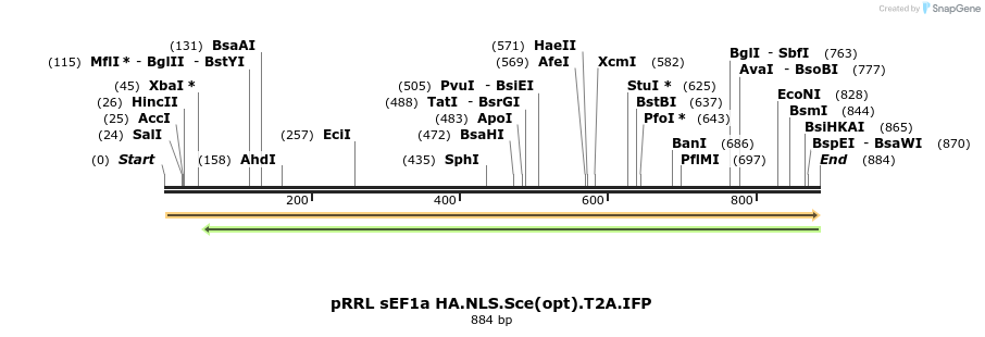 133366_map