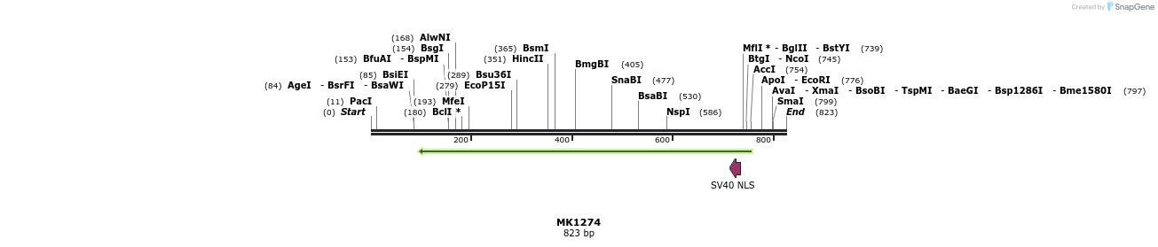 133367_map