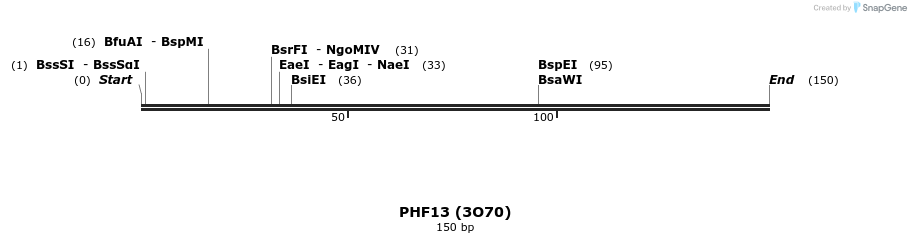 13337_map