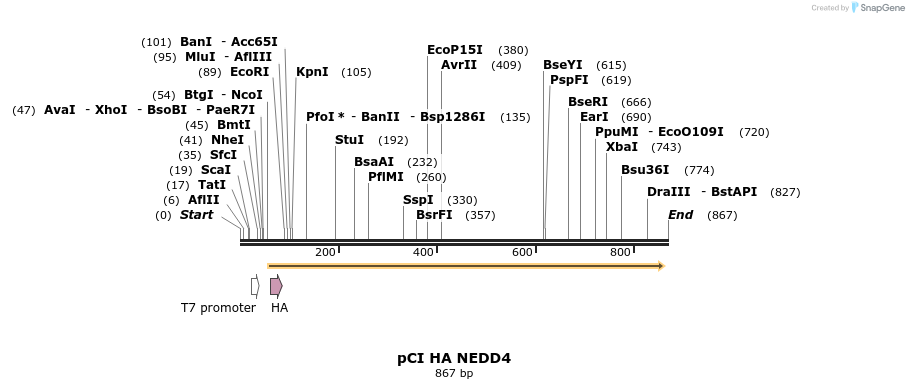 133377_map