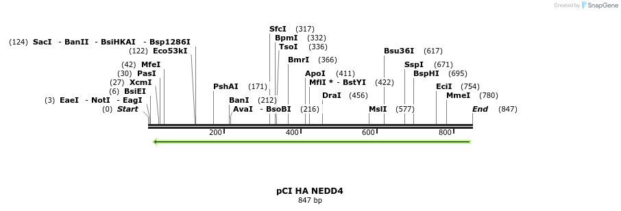 133379_map