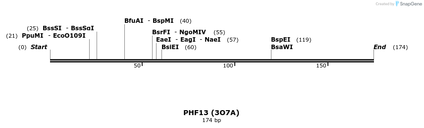 13338_map