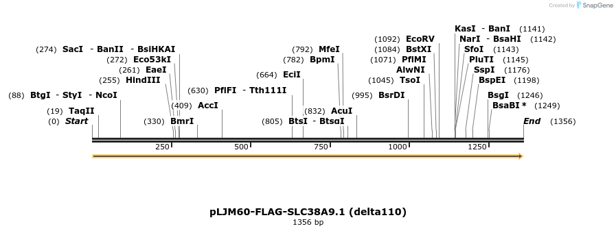 133384_map