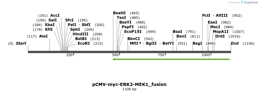 133386_map