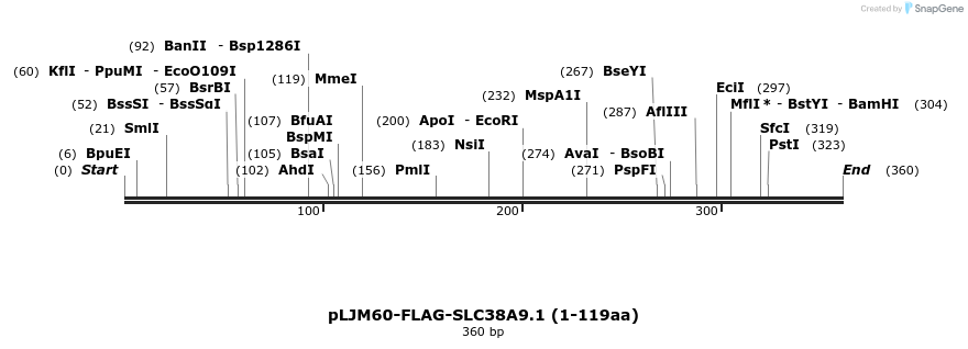 133387_map