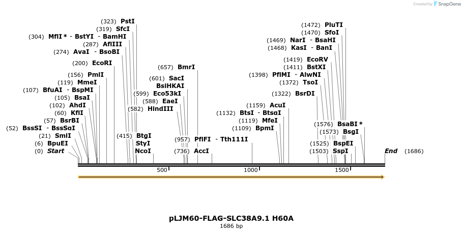 133388_map