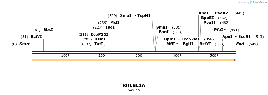 13339_map