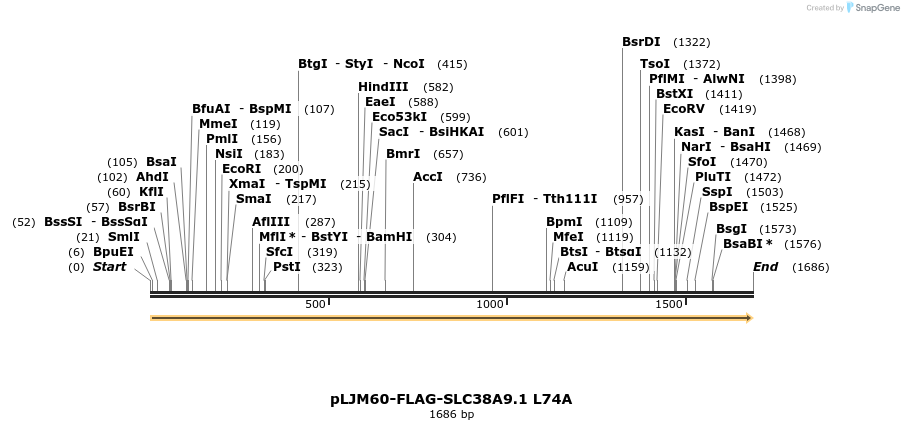 133393_map