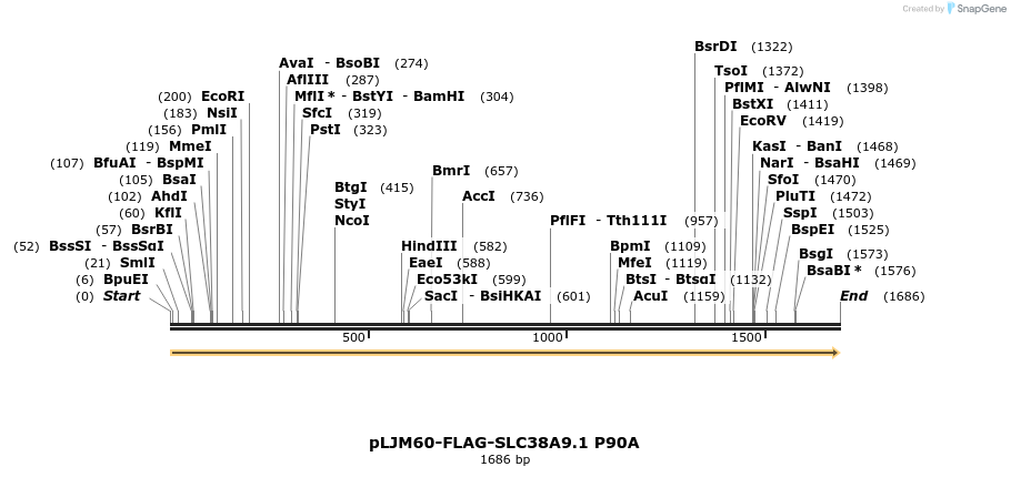 133395_map