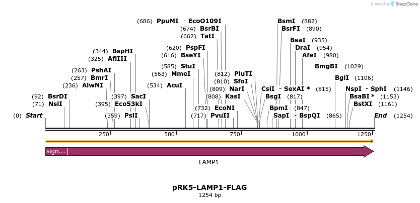 133397_map