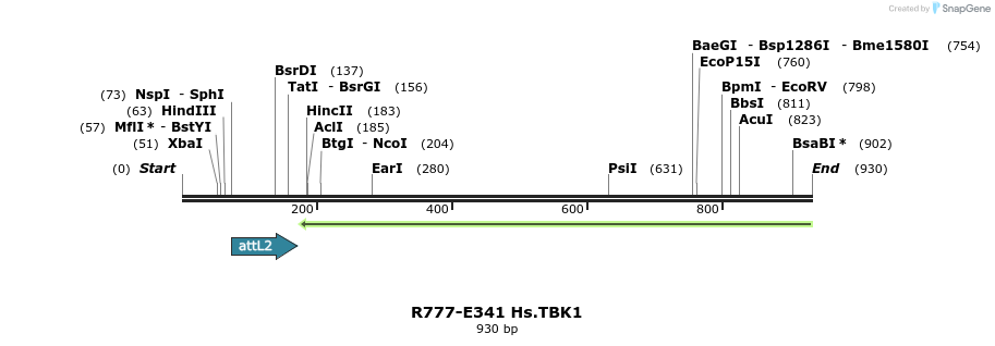 133400_map