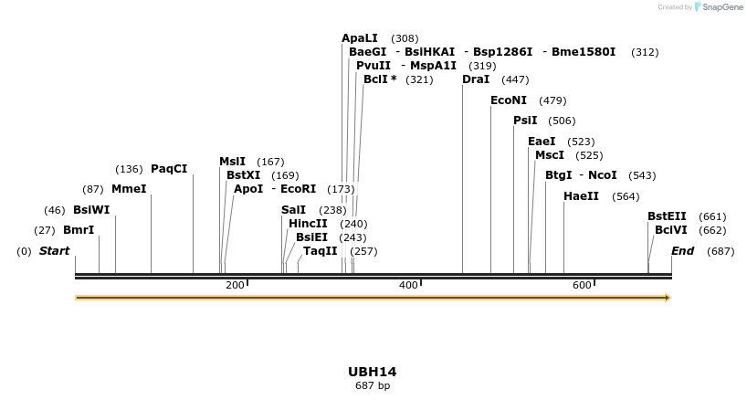 13341_map