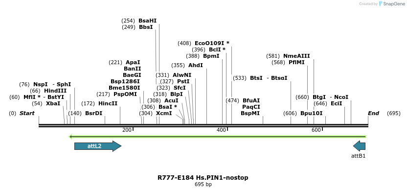133413_map