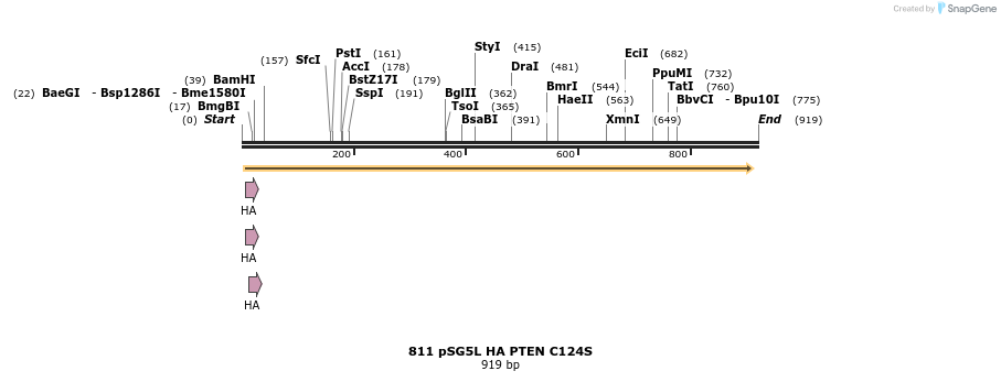 133415_map