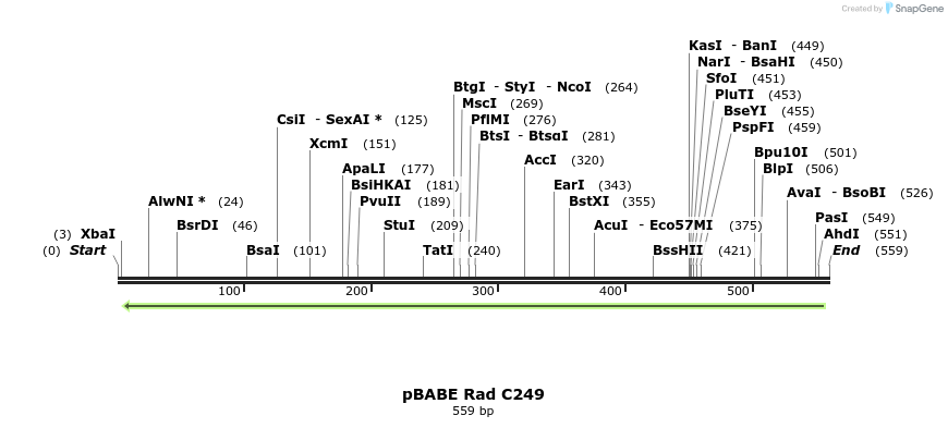 133419_map