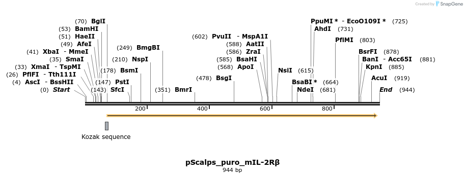 133428_map